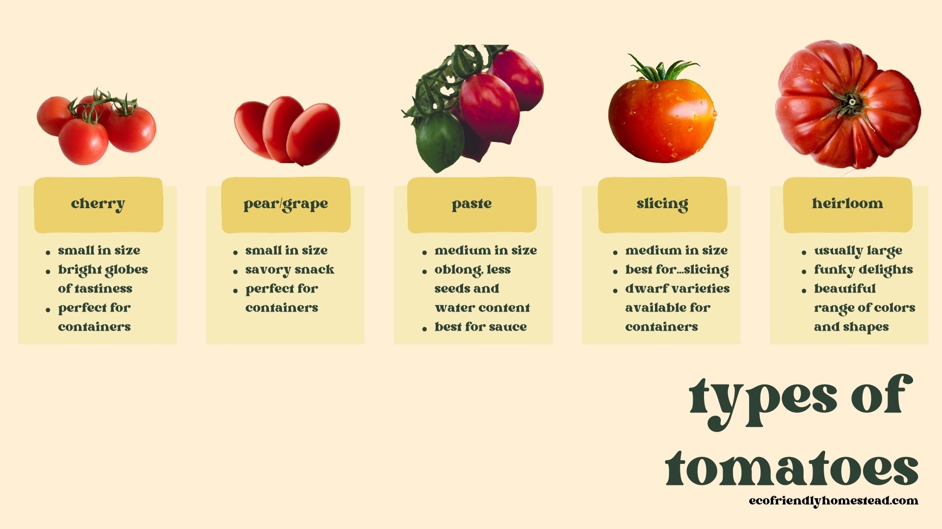 Grow Tomatoes From Seed the Regenerative Way grow-tomatoes-from-seed-the-regenerative-way
